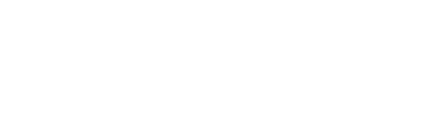 Birepo